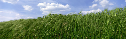 436852 (a): :3840x1200